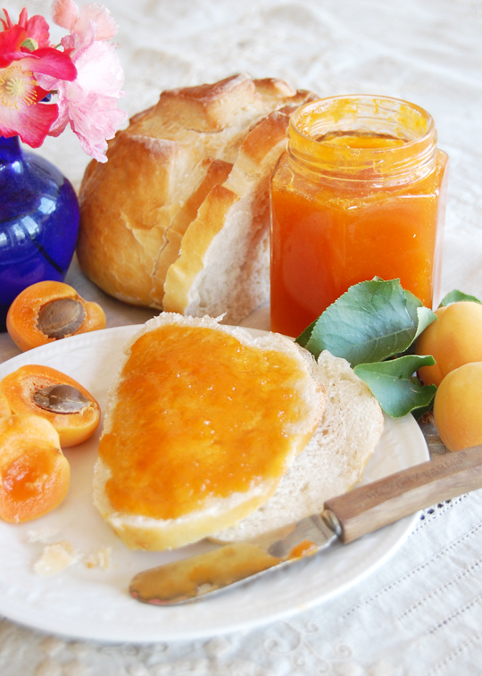 Apricot Vanilla Jam