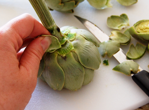 Artichokes peel