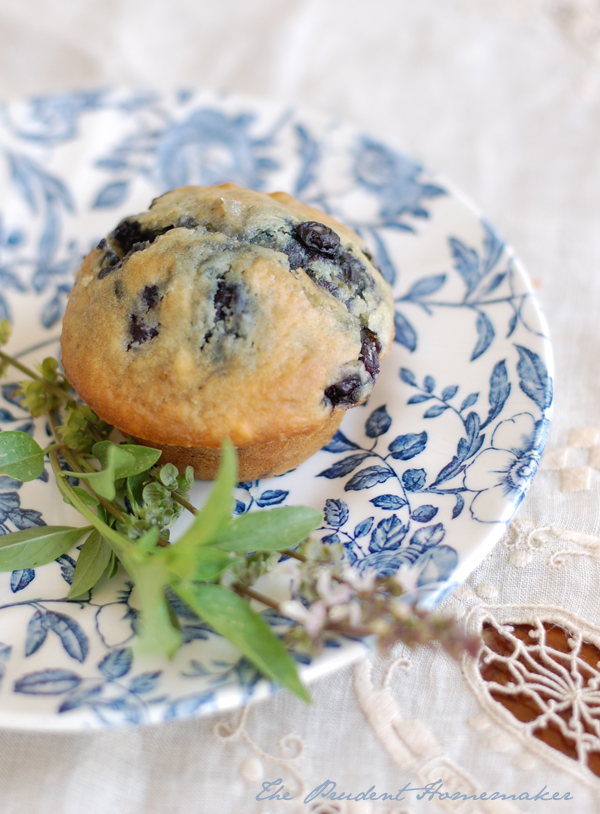 Blueberry Muffins 2 The Prudent Homemaker