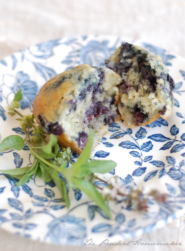 Blueberry Muffins The Prudent Homemaker