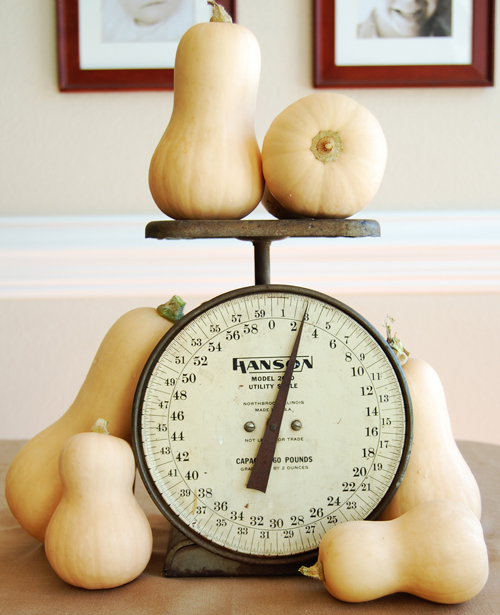 Butternut Squash on scale 500