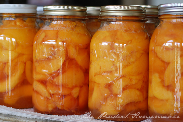 Canned Peaches The Prudent Homemaker