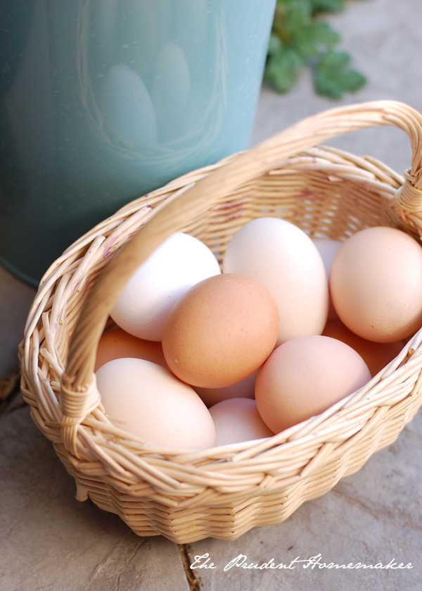 Eggs The Prudent Homemaker