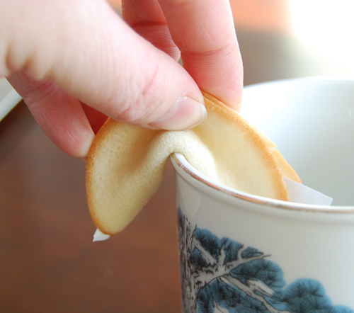 Fortune Cookies cup