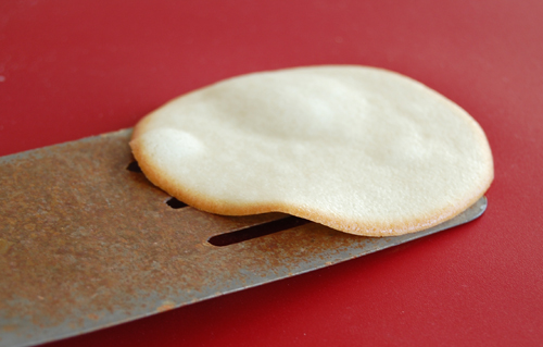 Fortune Cookies spatula