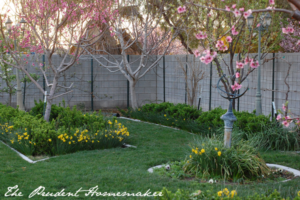 Garden in Spring The Prudent Homemaker