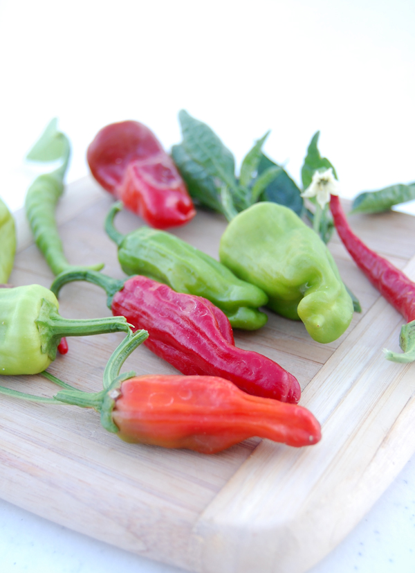 Hot peppers