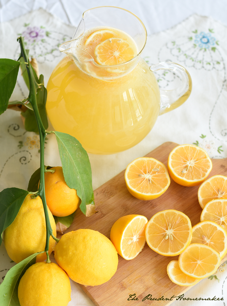 Lemonade 2 The Prudent Homemaker