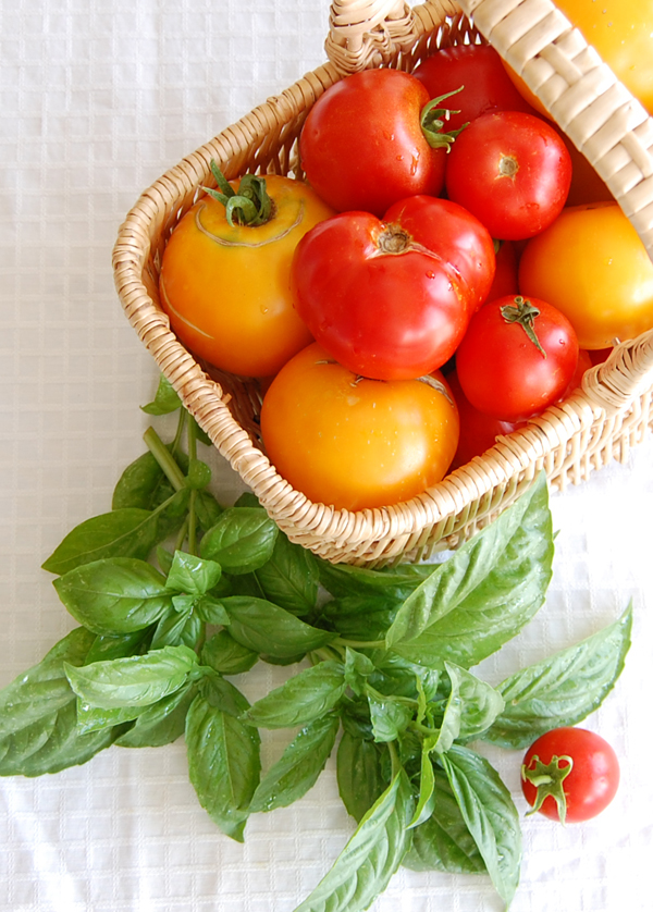 Tomatoes and Basil