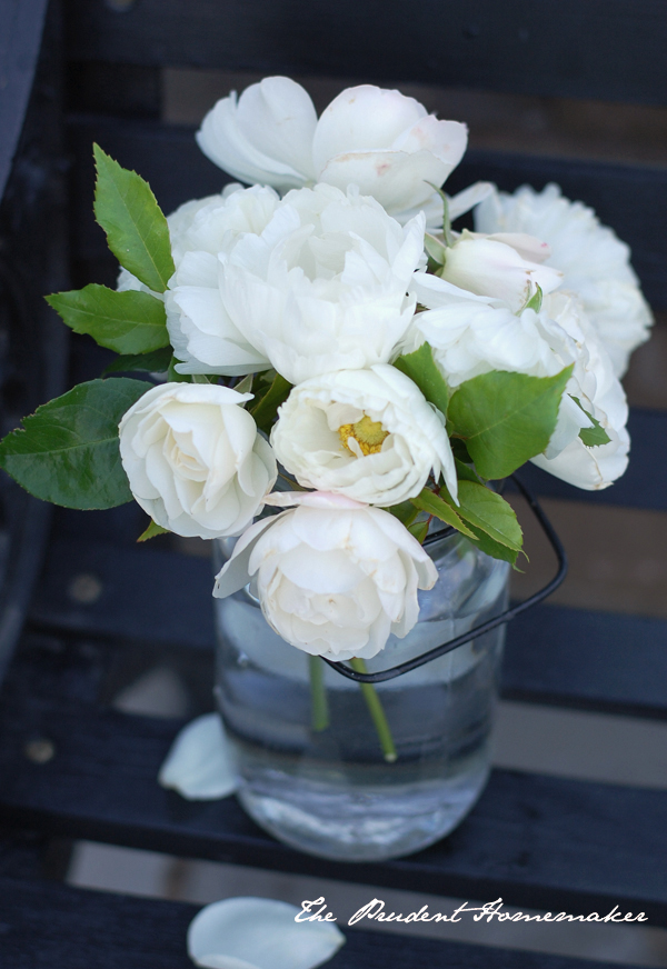 White Flowers on Black Bench 2 The Prudent Homemaker