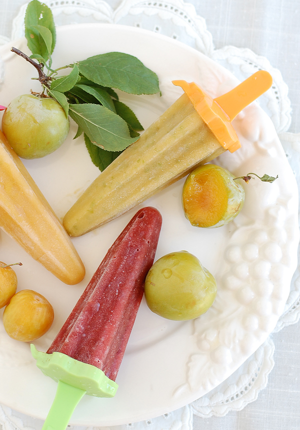 Plum Popsicles The Prudent Homemaker