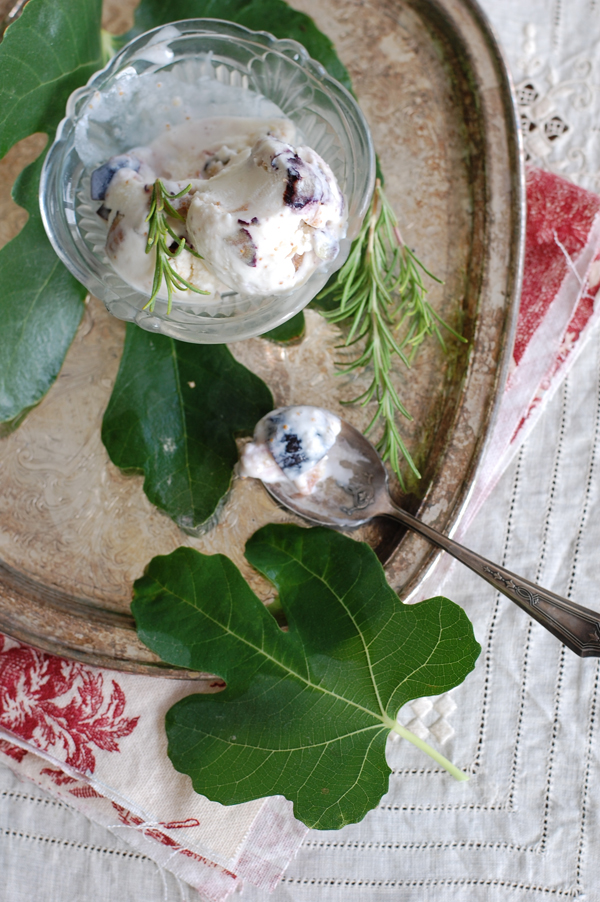 Rosemary Fig Gelato 2 The Prudent Homemaker