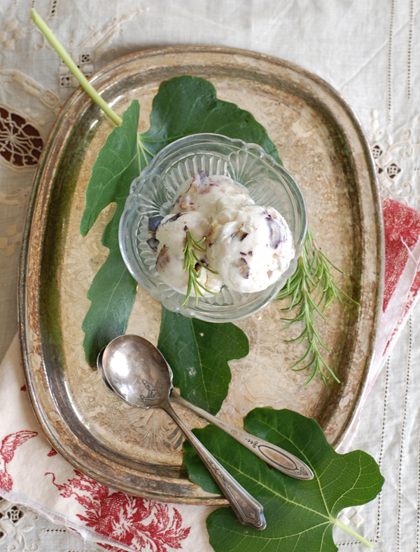 Rosemary Fig Gelato The Prudent Homemaker