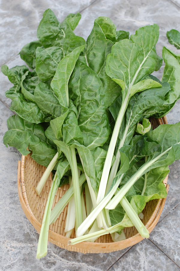 Swiss Chard The Prudent Homemaker