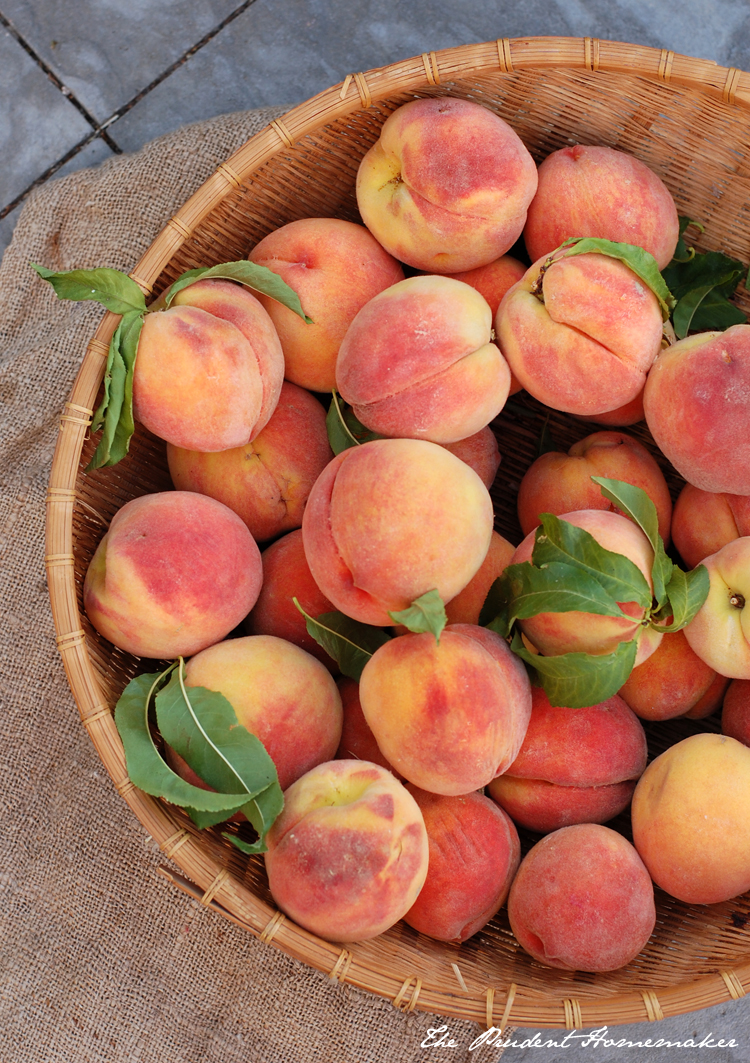 Early Elberta Peaches 2 The Prudent Homemaker