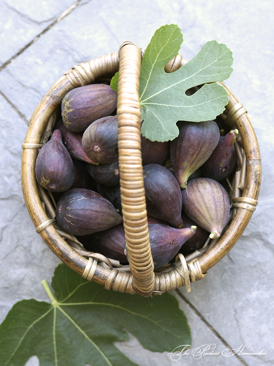 Mission Figs in basketThe Prudent Homemaker