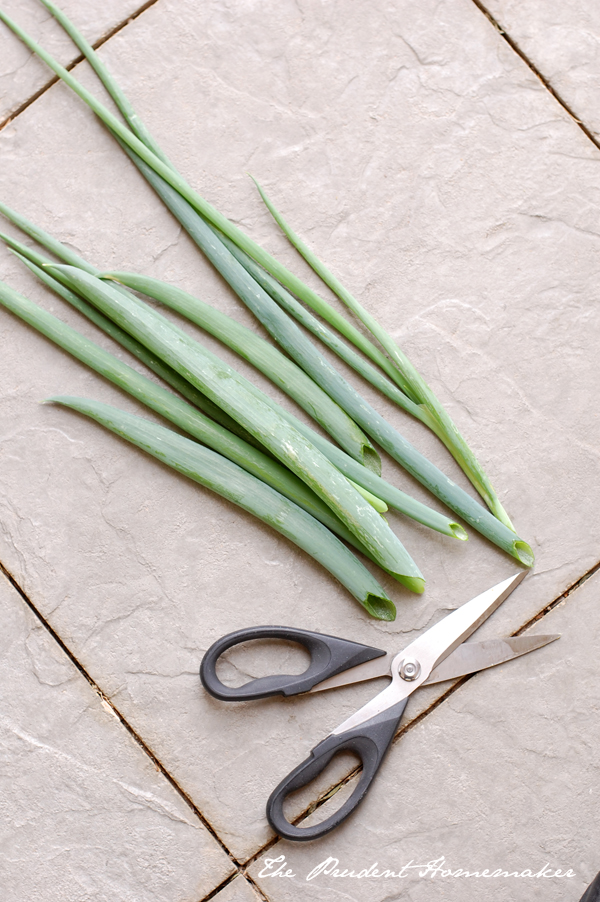 Green Onions with scissors The Prudent Homemaker