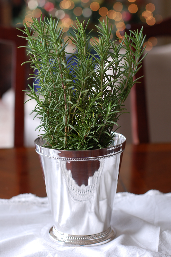 Rosemary on Table The Prudent Homemaker