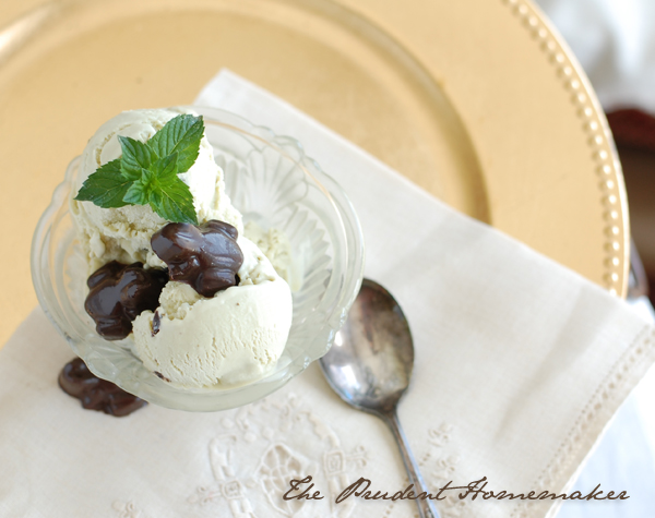 Mint Chocolate Frog Ice Cream 2 The Prudent Homemaker