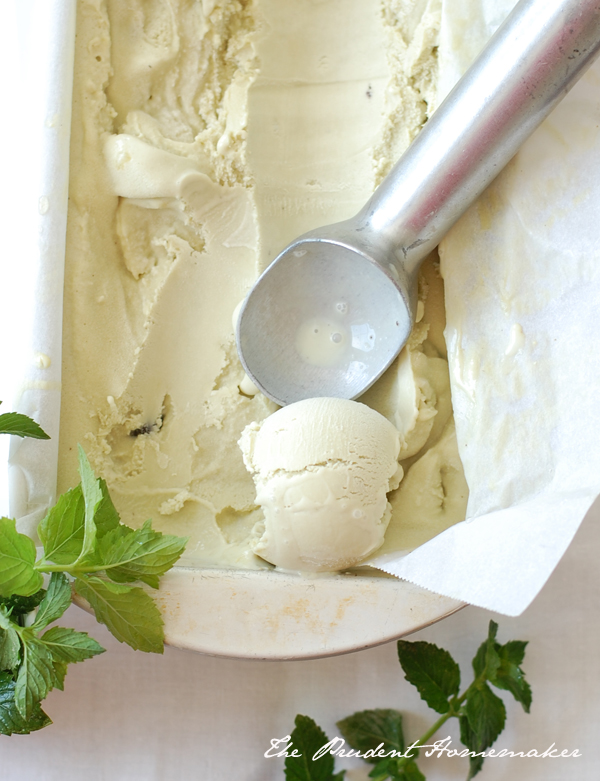 Mint Chocolate Frog Ice Cream The Prudent Homemaker