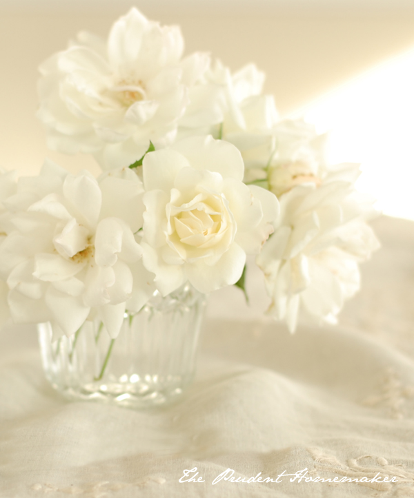 White Roses The Prudent Homemaker