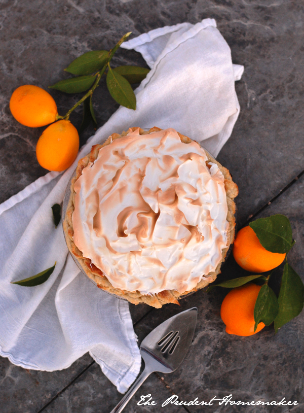 Lemon Meringue Pie The Prudent Homemaker