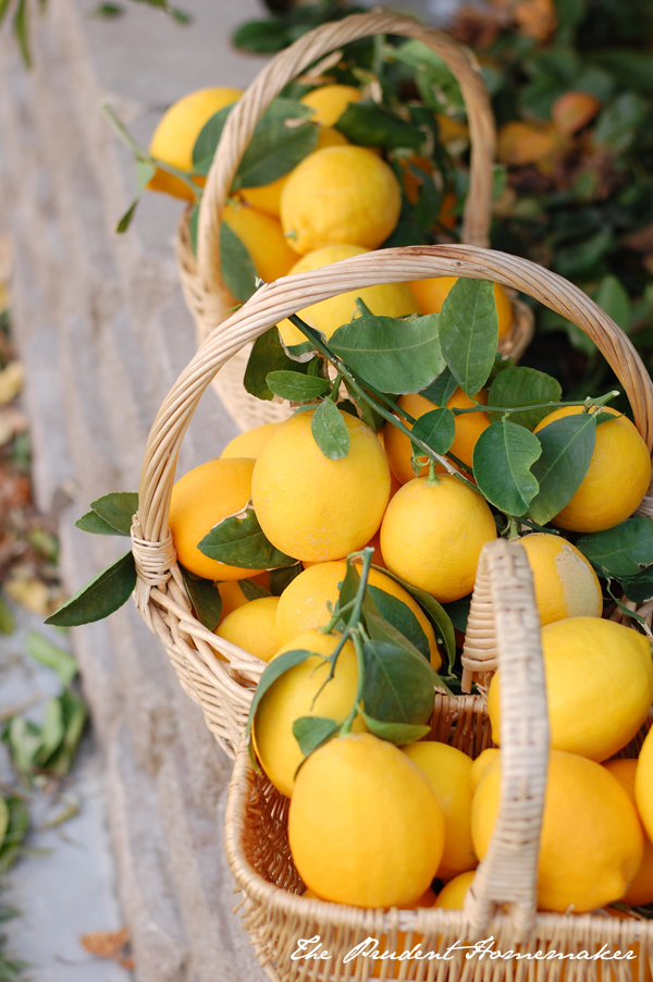 Meyer Lemons 2014
