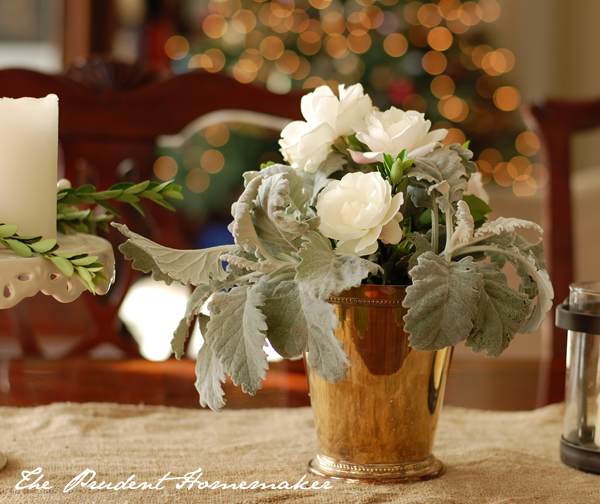 Roses with Christmas lights