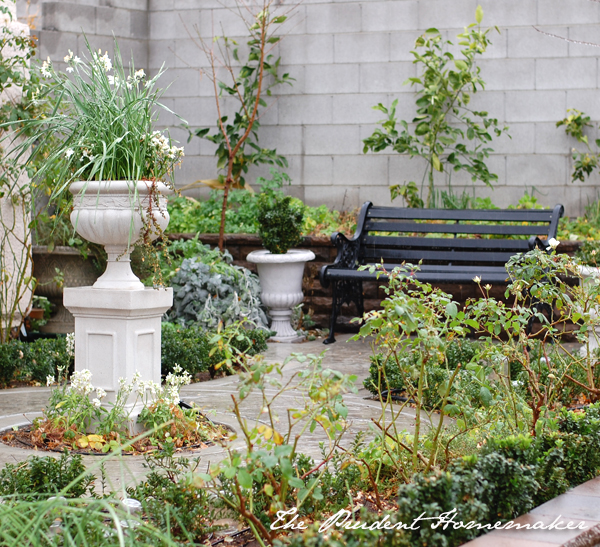 White Garden in January The Prudent Homemaker