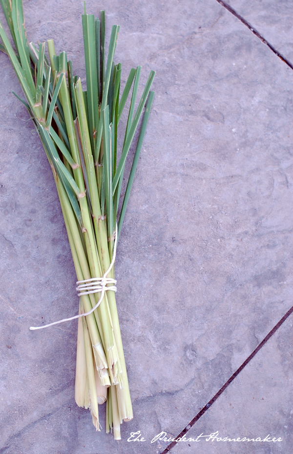 Lemongrass The Prudent Homemaker