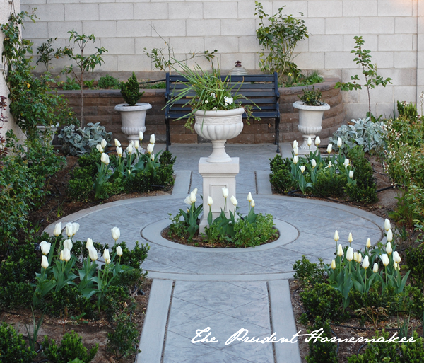 Tulips in the White Garden The Prudent Homemaker