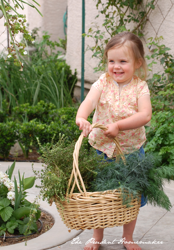 Ivory with Herbs The Prudent Homemaker