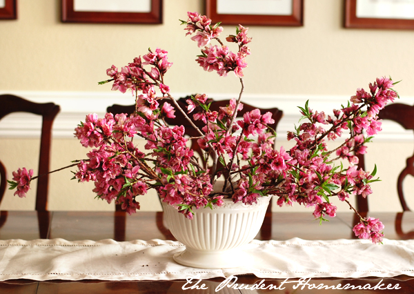 Nectarine Blossoms 2 The Prudent Homemaker