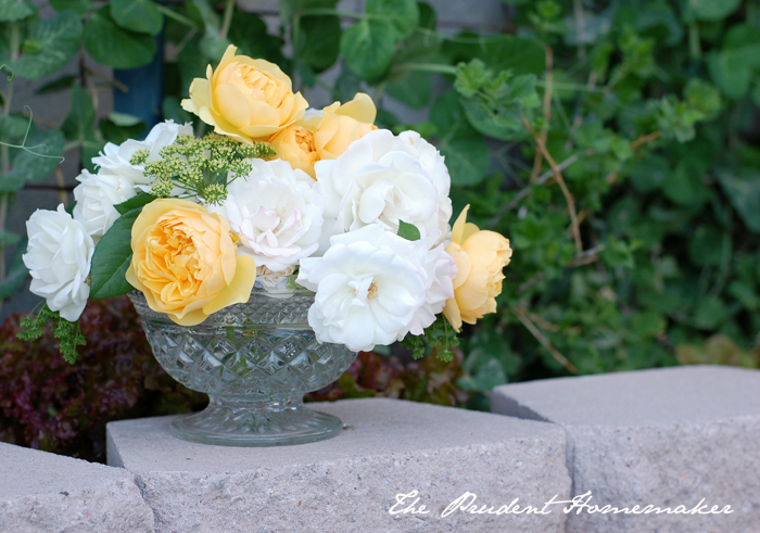 Roses in Glass Bowl The Prudent Homemaker