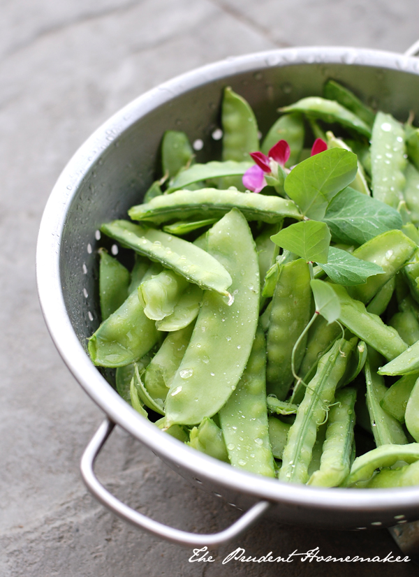 Snow Peas 2 The Prudent Homemaker