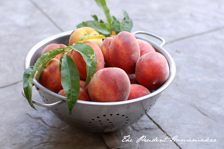 Desert Gold Peaches The Prudent Homemaker