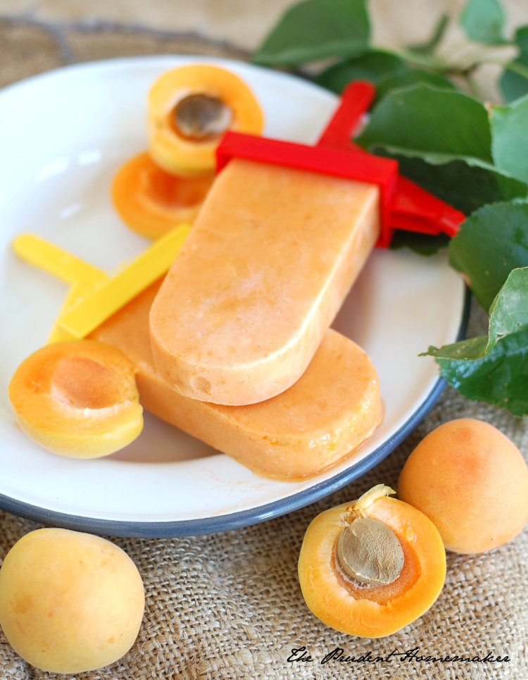 Apricot Popsicles The Prudent Homemaker