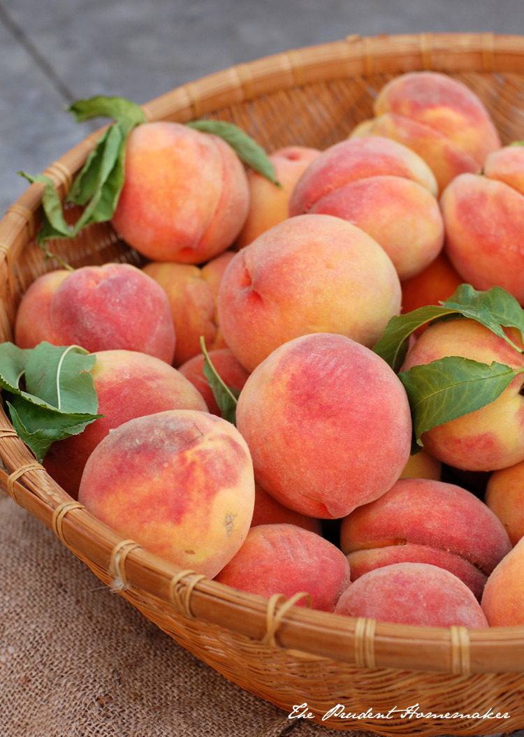 Early Elberta Peaches The Prudent Homemaker