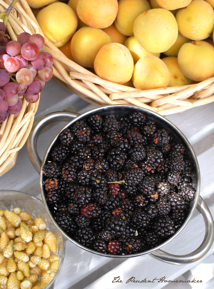 June Harvest 2 The Prudent Homemaker