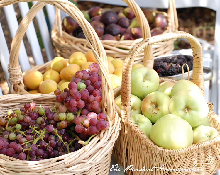 June Harvest The Prudent Homemaker