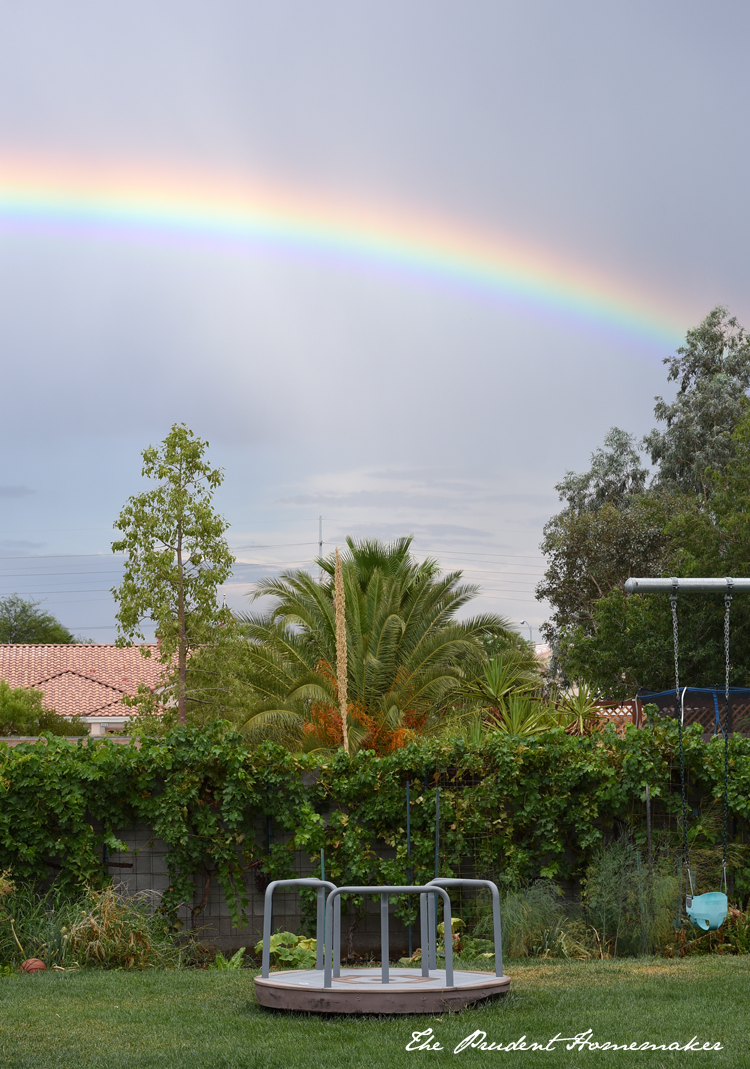 Rainbow The Prudent Homemaker