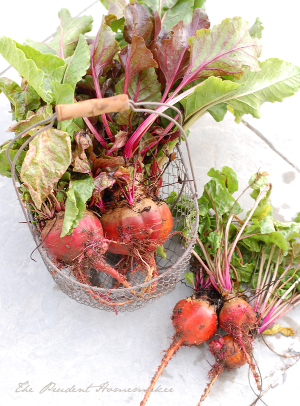 Beets in Basket The Prudent Homemaker