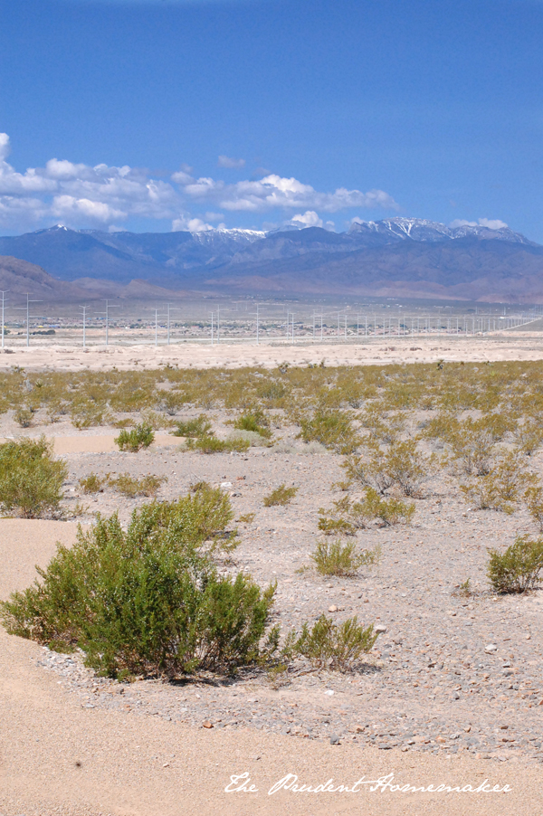 Las Vegas Desert The Prudent Homemaker