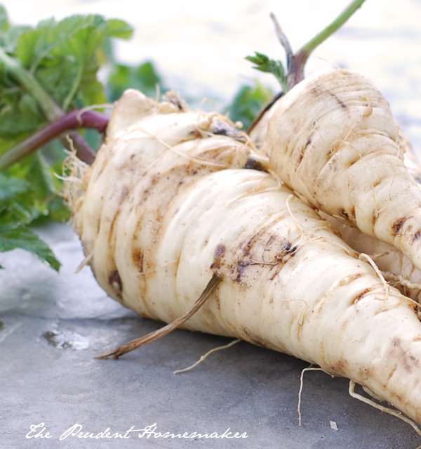 Parsnips The Prudent Homemaker