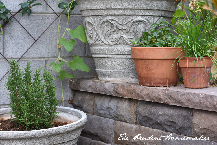 Potted Herbs The Prudent Homemaker