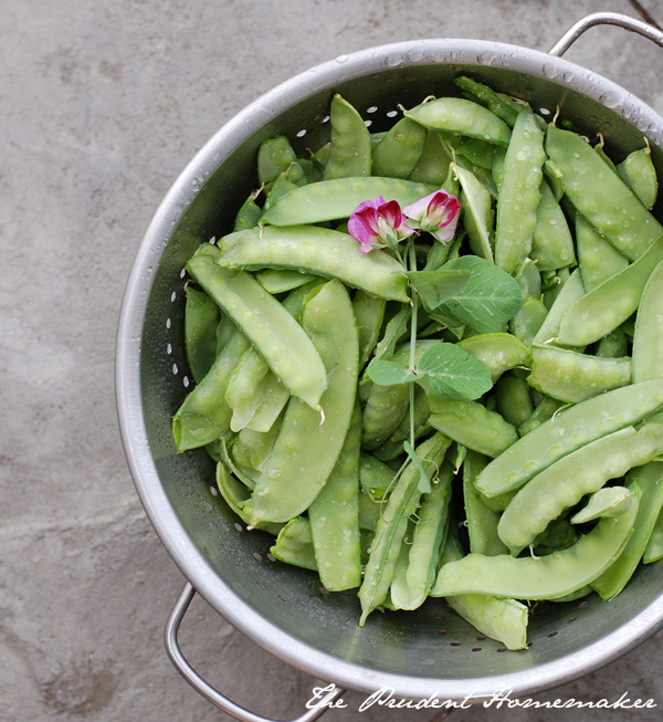 Snow Peas The Prudent Homemaker