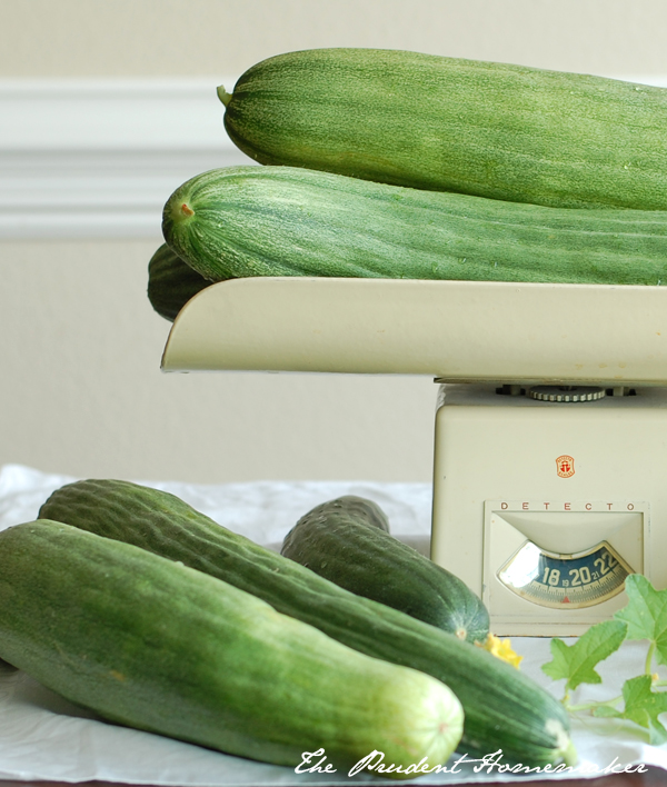 Armenian Cucumbers The Prudent Homemaker