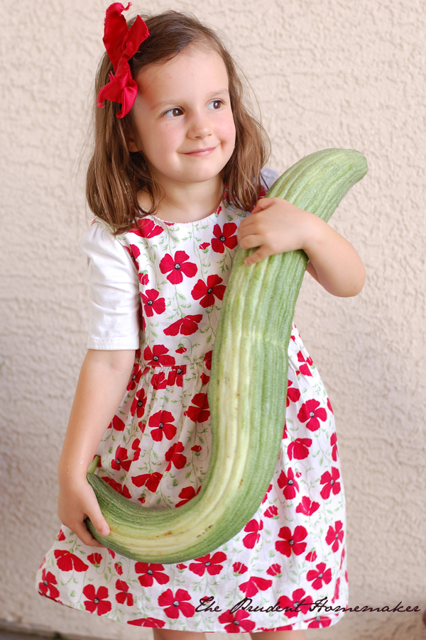 Elsa and Armenian Cucumber The Prudent Homemaker