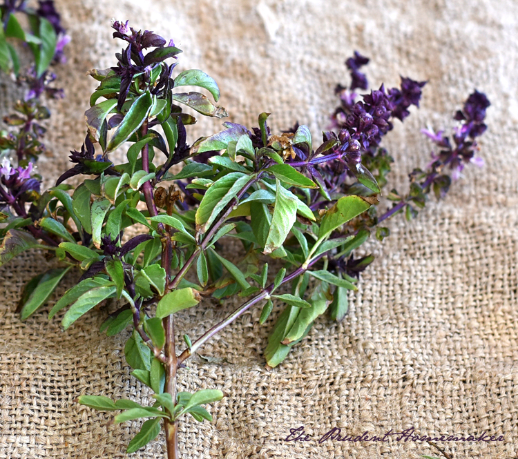 Thai Basil The Prudent Homemaker