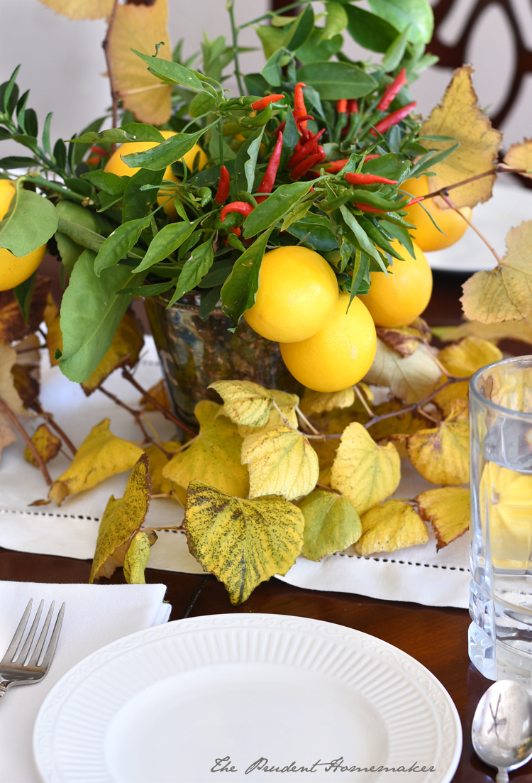 Thanksgiving Place Setting The Prudent Homemaker